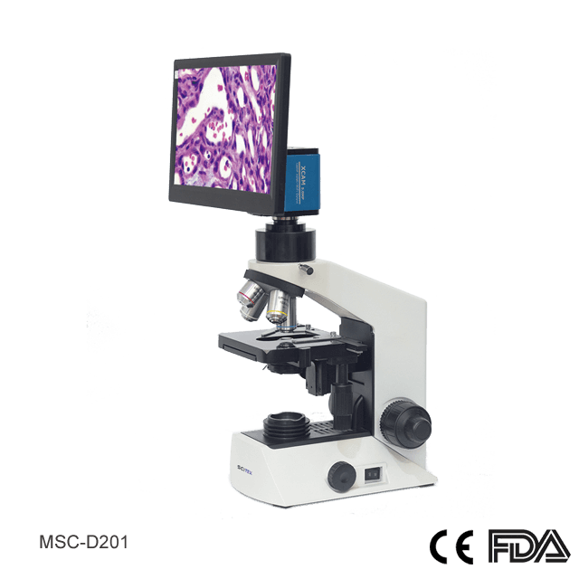 Digital Microscope, Infinite Optical System