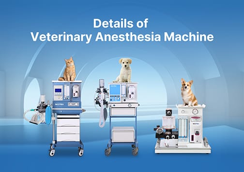 Revealing the Greater Details of Veterinary Anesthesia Machine